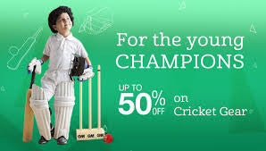 Cricket kit